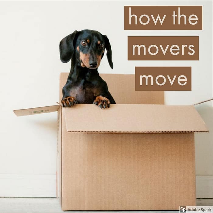 How the Professional Movers Move