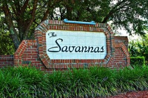 Homes for sale in Savannas, Clermont, Florida