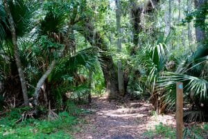 Black Bear Wilderness area