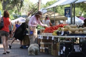 Farmers Market Windermere