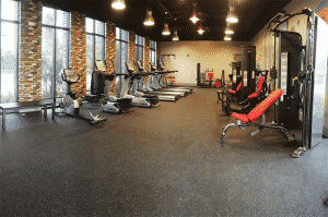 Festival Fitness Center