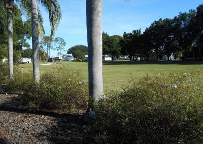 217 Covent Garden - View of Golf Course