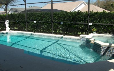 Greater Groves Pool Home Just Sold!