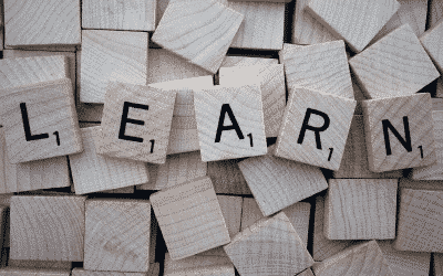 Vocabulary: Agency & Agency Relationships