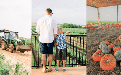 Southern Hill Farm 4th annual pumpkin patch