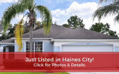 For sale-1687 Waterview Loop Haines city