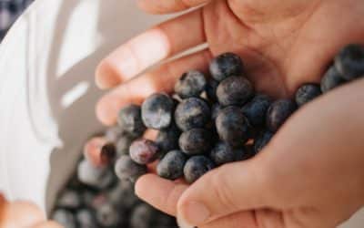 Out & About-Southern hill Farms