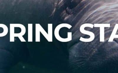 Out & About Bardell -Blue Springs