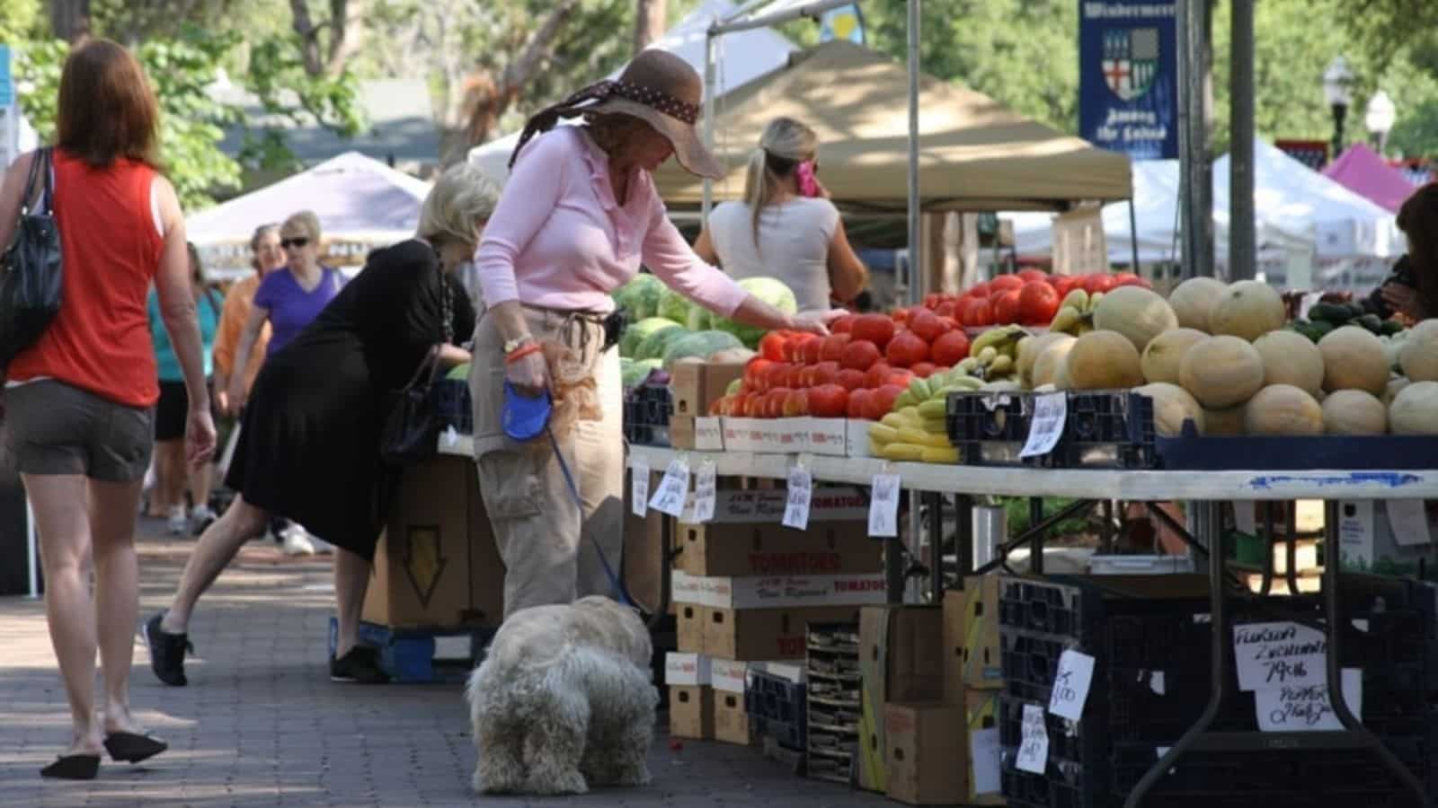 Shoppers attending farmer's market in Windermere Florida