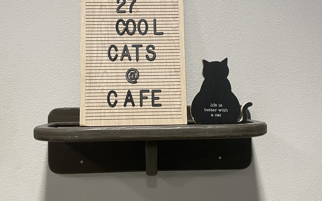 Orlando Cat Cafe: The Purrfect Coffee Spot