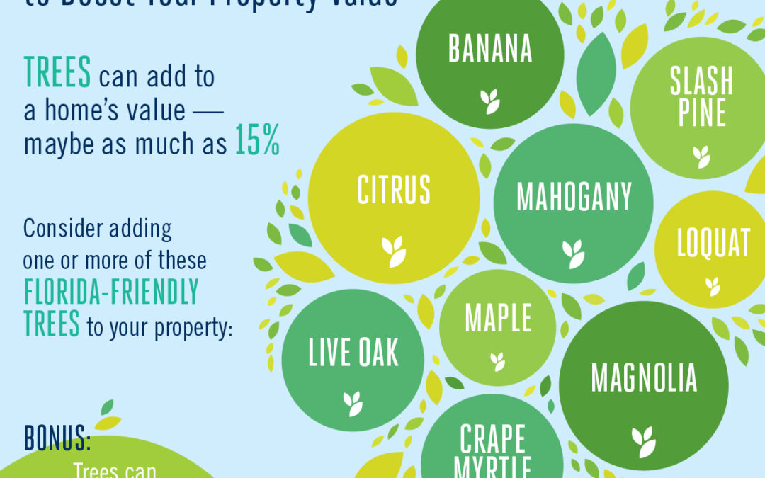 Trees to Boost Property Value