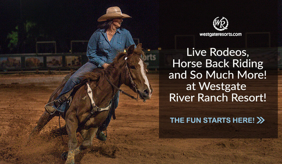 Saturday Night Rodeo at River Ranch