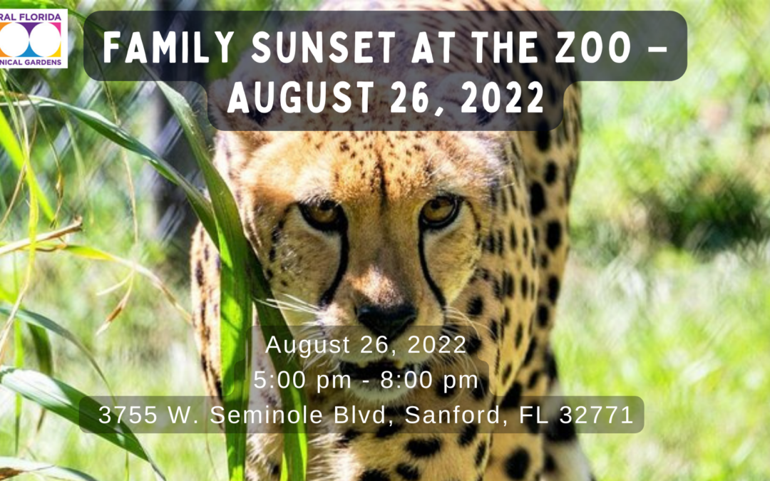 FAMILY SUNSET AT THE ZOO