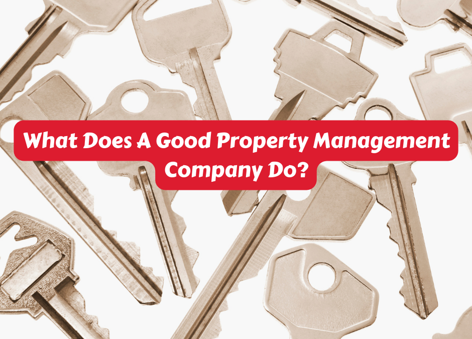 What Does A Good Property Management Company Do?