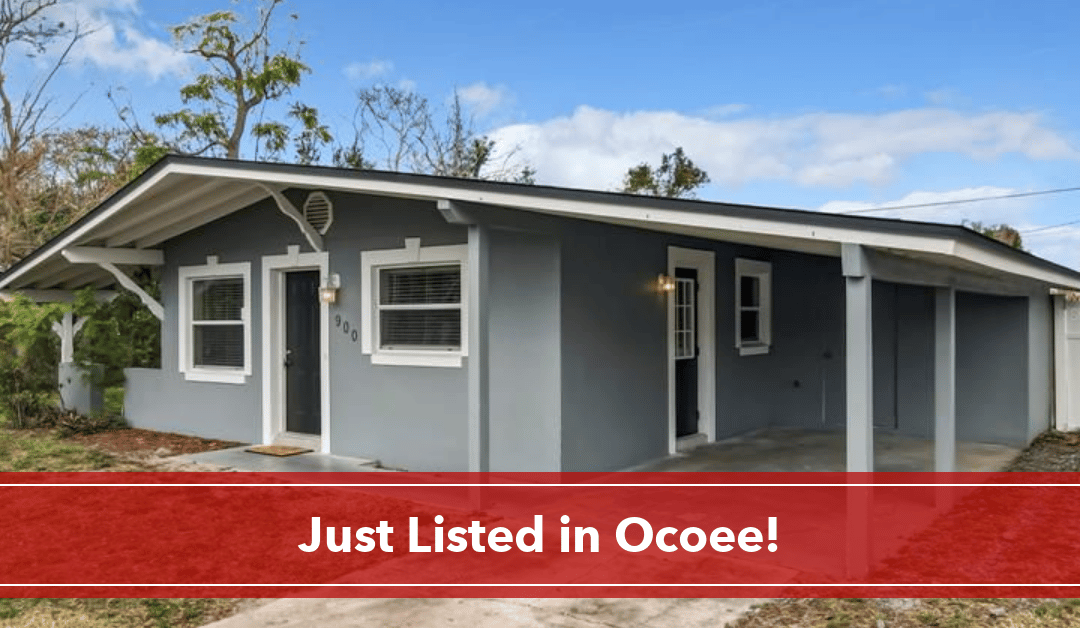 Newly Renovated Ocoee Home Just Listed