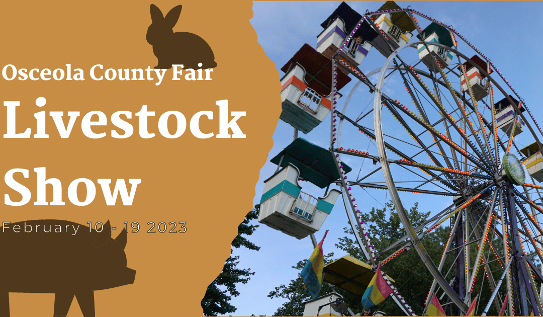 Osceola County Fair Livestock Show