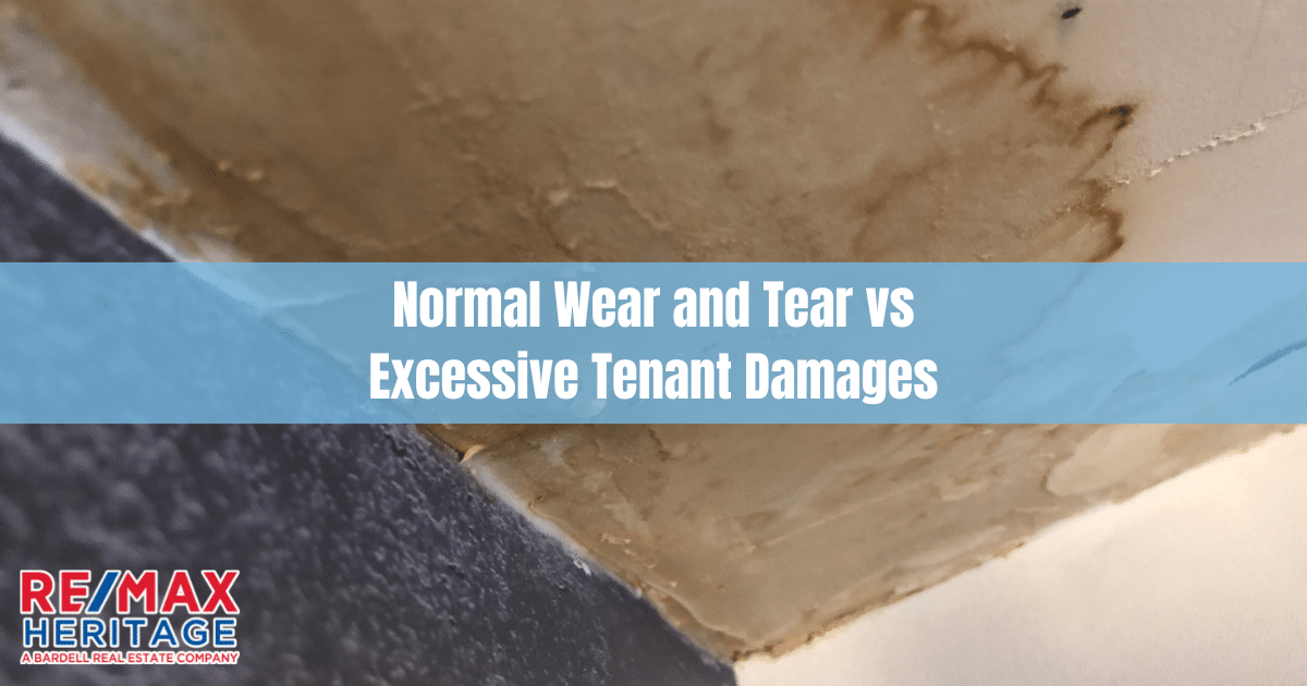 Rental Property Wear and Tear versus Tenant Damage