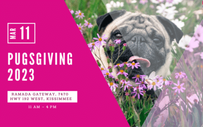 Pugsgiving 2023