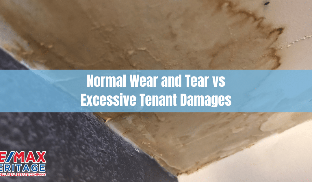 Normal Wear and Tear vs Excessive Tenant Damages